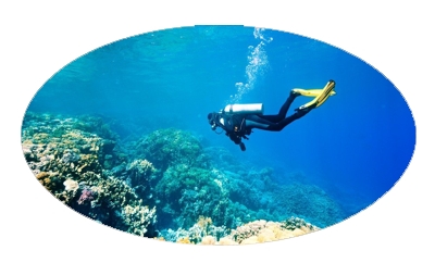 DOLPHINLAND DALIŞ MERKEZİ