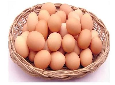 CEMİLOĞLU YUMURTACILIK